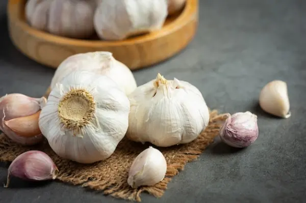 L'ail : Un trésor naturel pour la santé